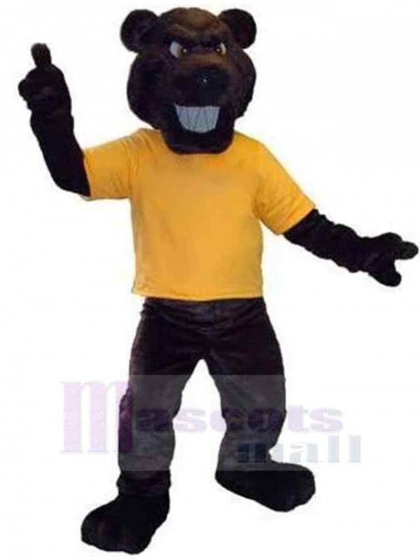 Ours costume de mascotte