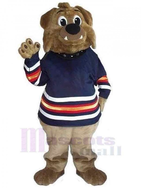 Ours costume de mascotte