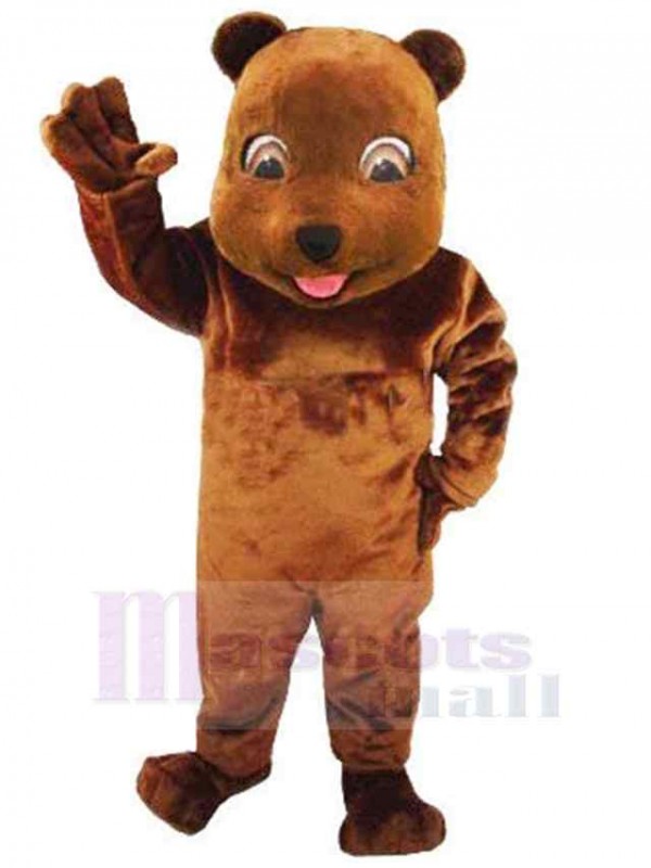 Ours costume de mascotte
