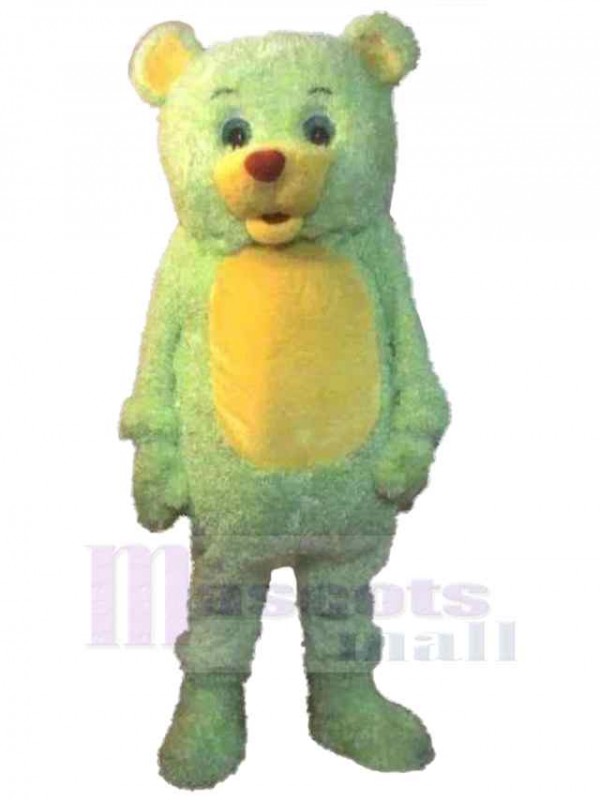 Ours costume de mascotte