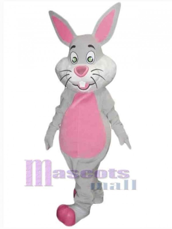 Lapin de Pâques costume de mascotte