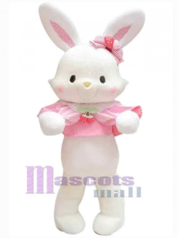Lapin de Pâques costume de mascotte