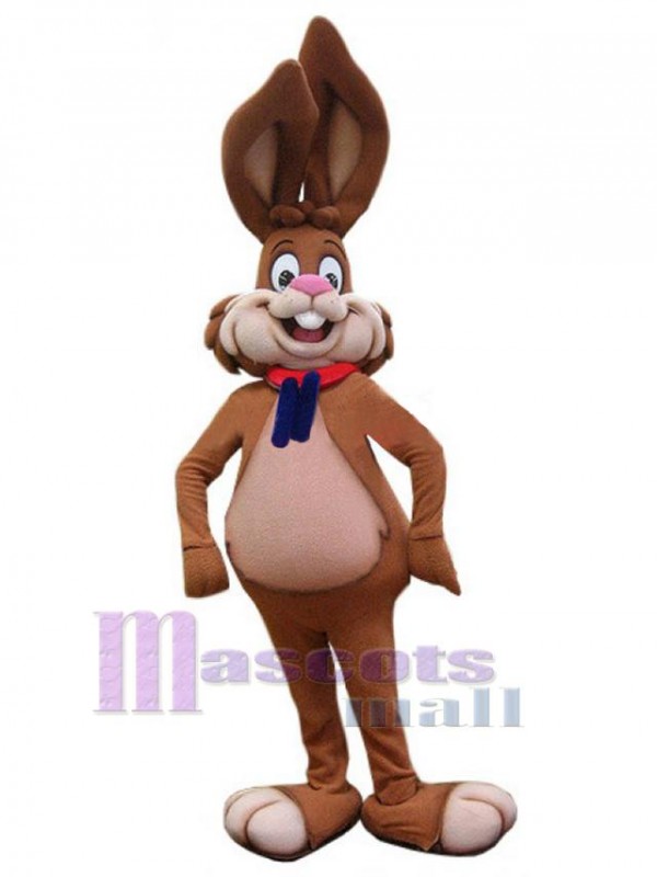 Lapin de Pâques costume de mascotte