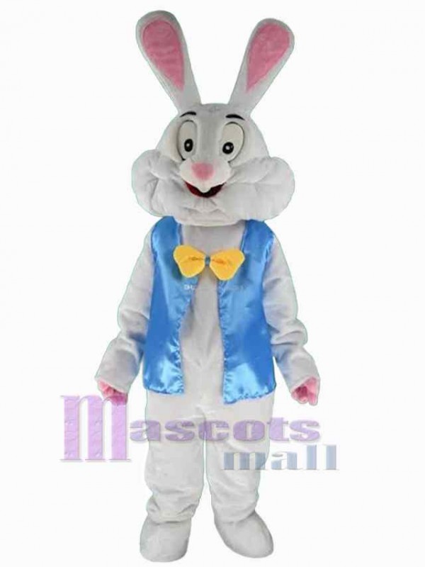 Lapin de Pâques costume de mascotte