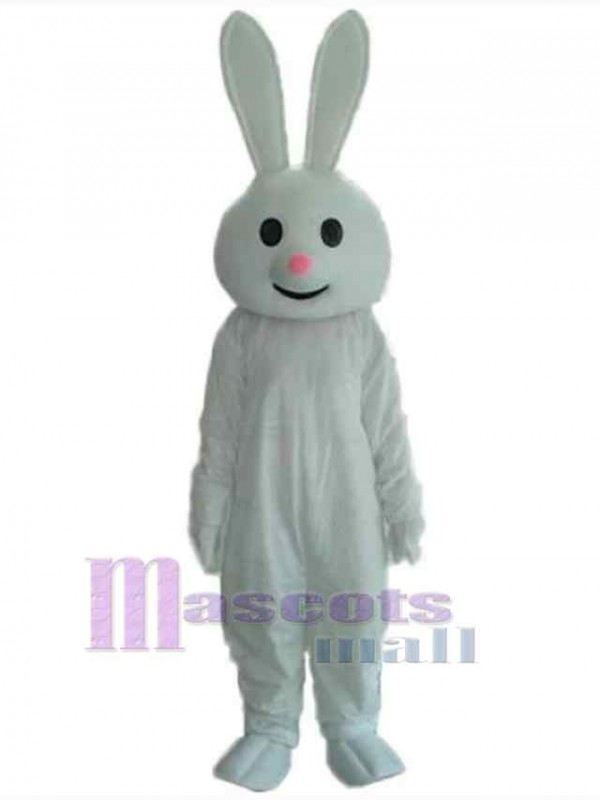Lapin de Pâques costume de mascotte