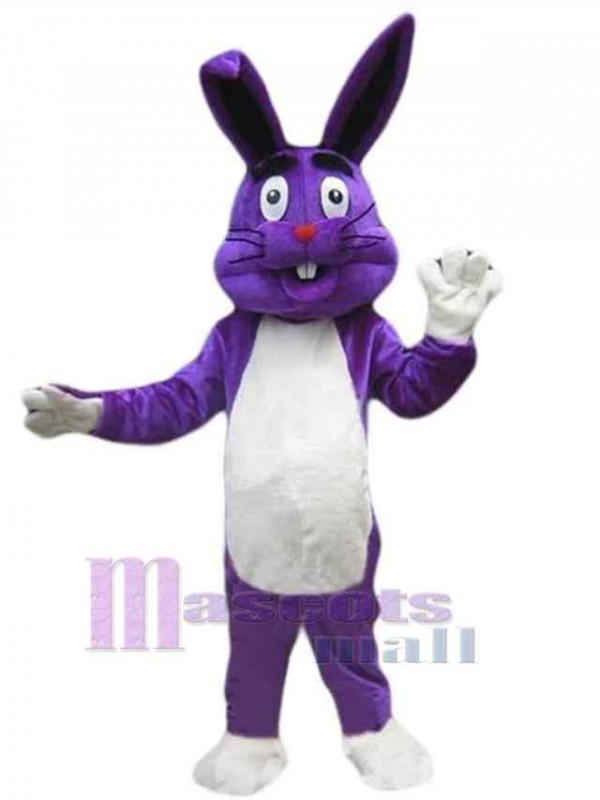 Lapin de Pâques costume de mascotte