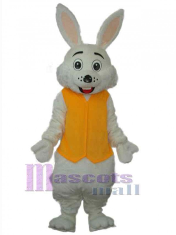 Lapin de Pâques costume de mascotte