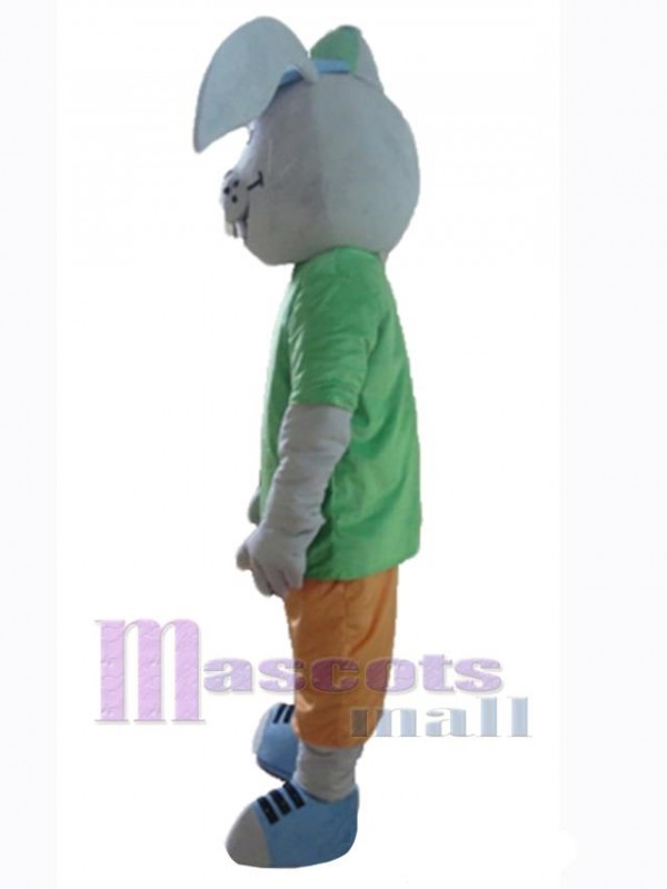 Lapin de Pâques costume de mascotte