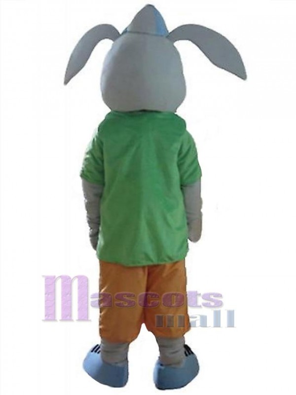 Lapin de Pâques costume de mascotte