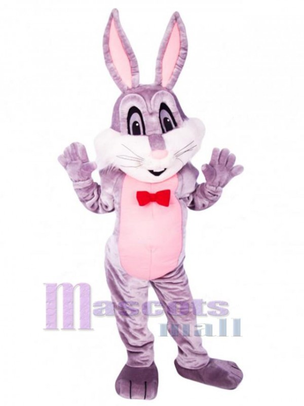 Lapin de Pâques costume de mascotte