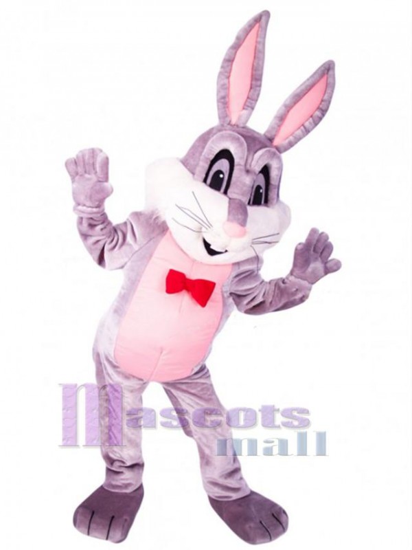 Lapin de Pâques costume de mascotte