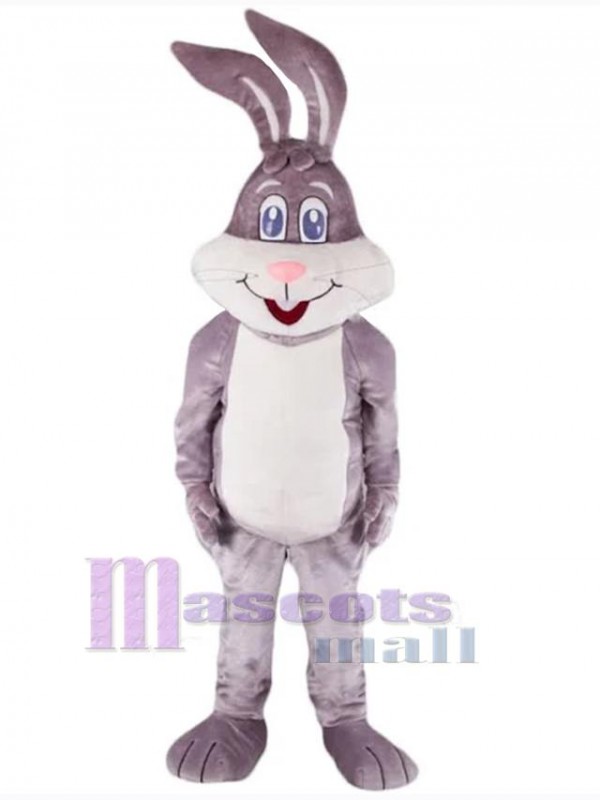 Lapin de Pâques costume de mascotte