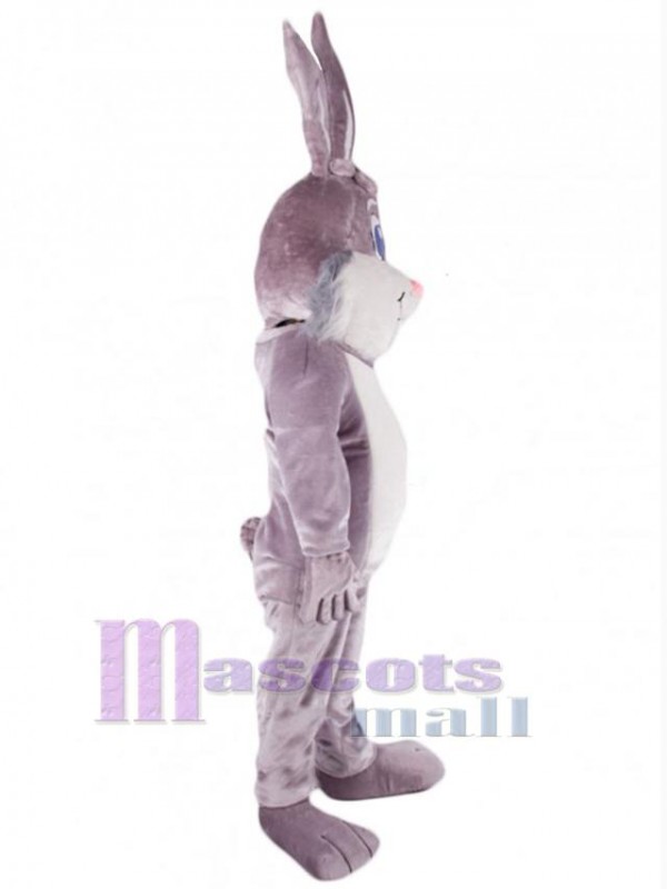 Lapin de Pâques costume de mascotte