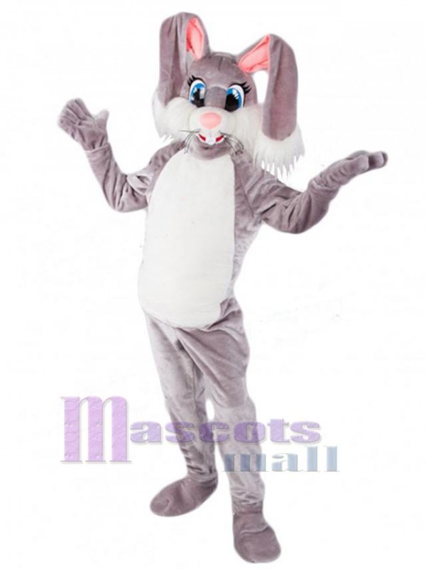 Lapin de Pâques costume de mascotte