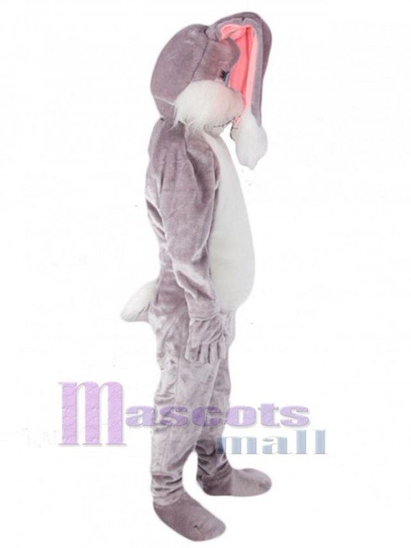 Lapin de Pâques costume de mascotte