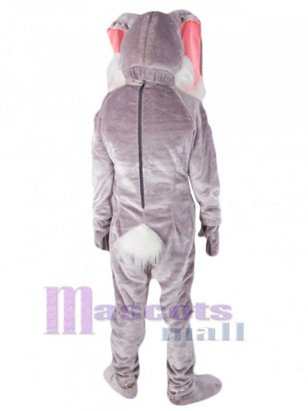 Lapin de Pâques costume de mascotte