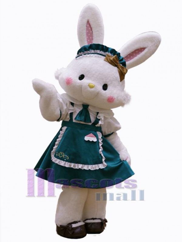 Lapin de Pâques costume de mascotte