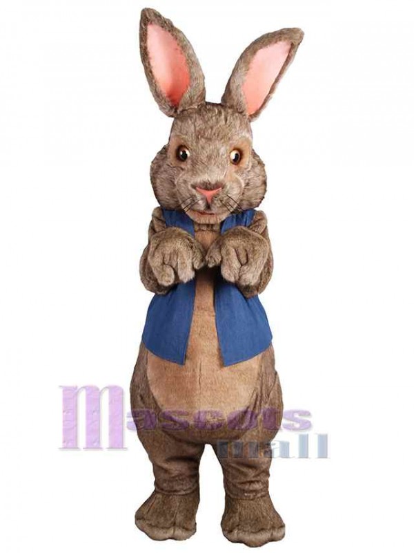 Lapin de Pâques costume de mascotte