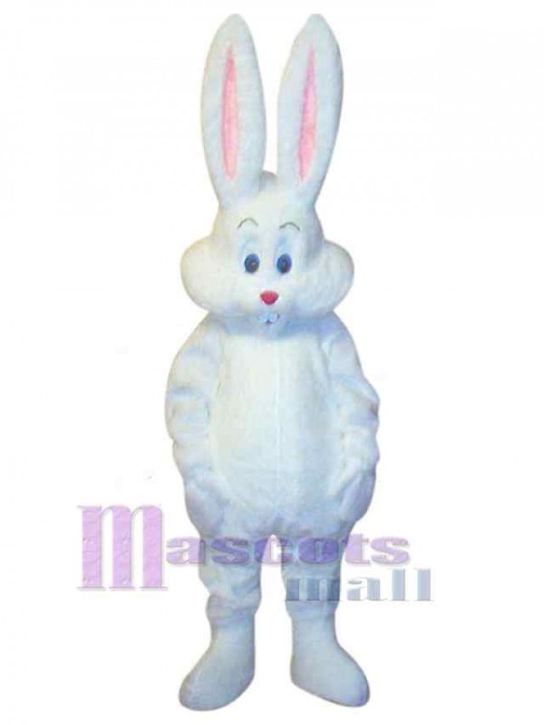 Lapin de Pâques costume de mascotte