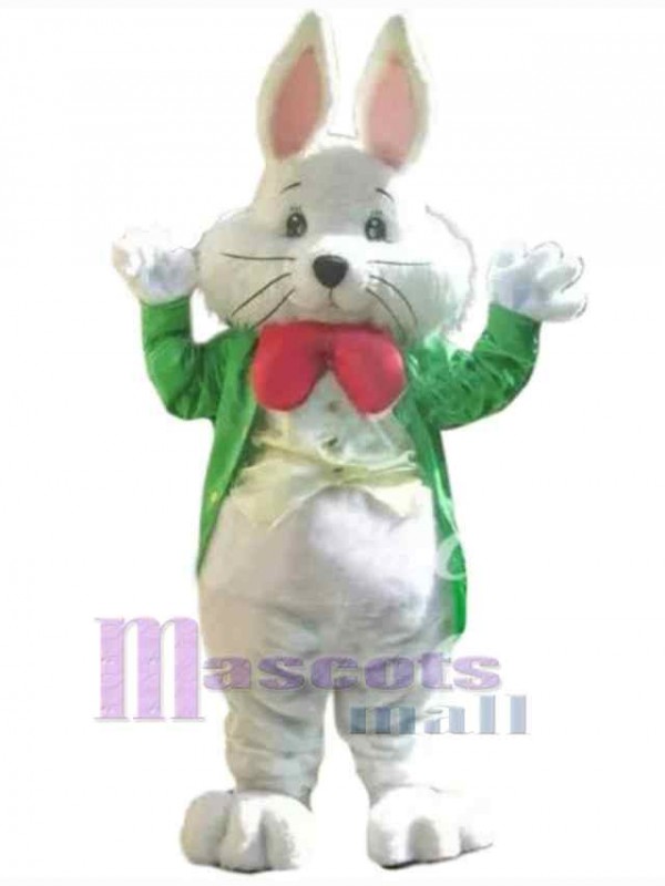 Lapin de Pâques costume de mascotte