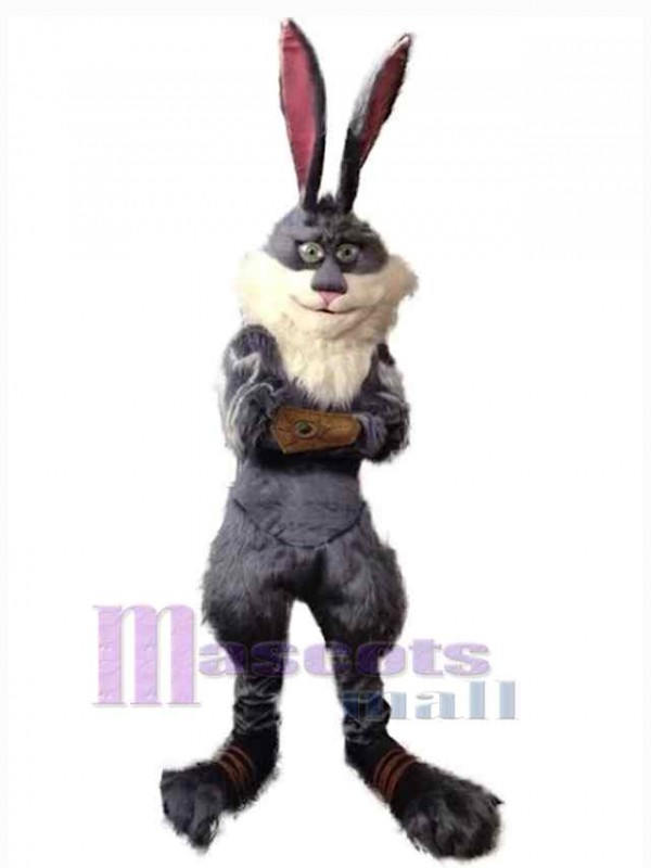 Lapin de Pâques costume de mascotte
