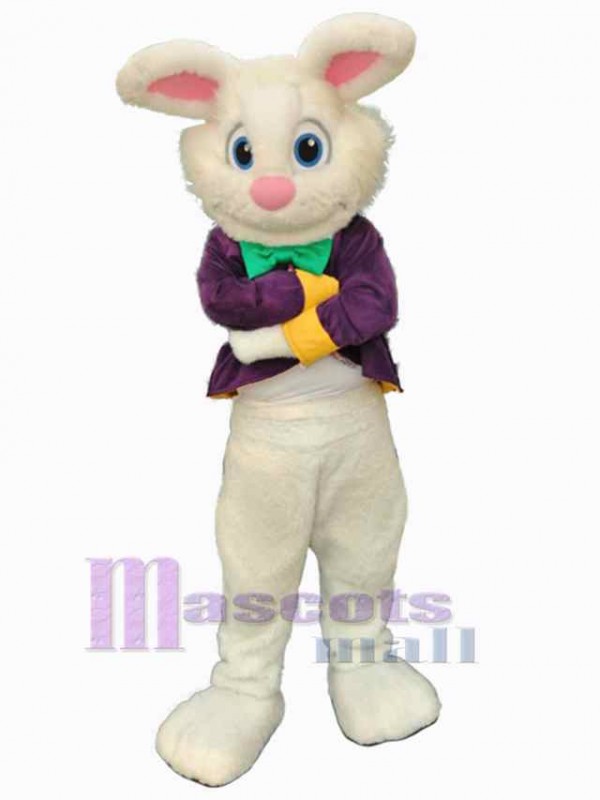 Lapin de Pâques costume de mascotte