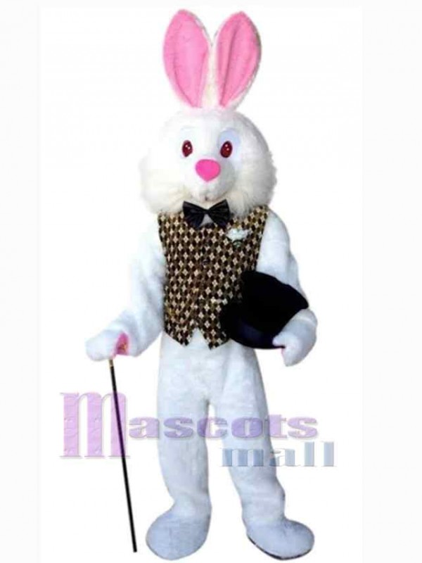 Lapin de Pâques costume de mascotte