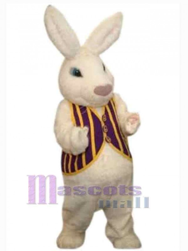 Lapin de Pâques costume de mascotte