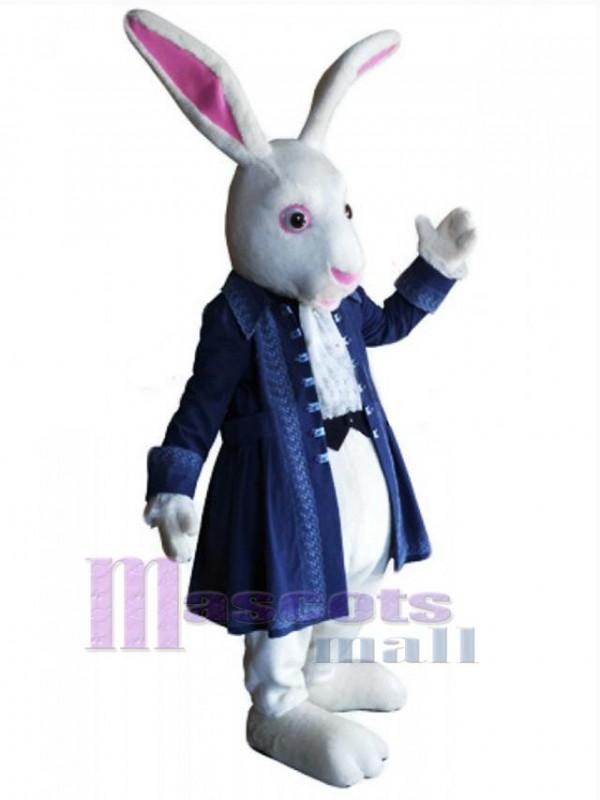 Lapin de Pâques costume de mascotte