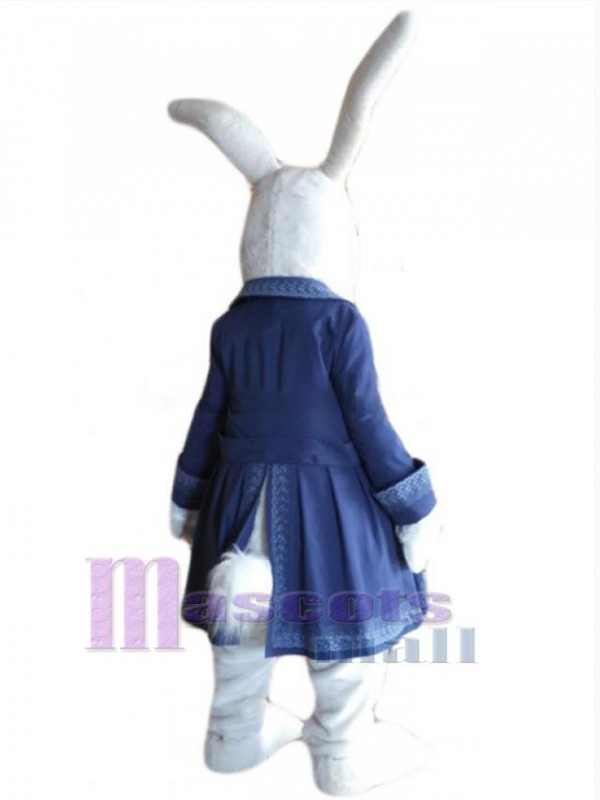 Lapin de Pâques costume de mascotte