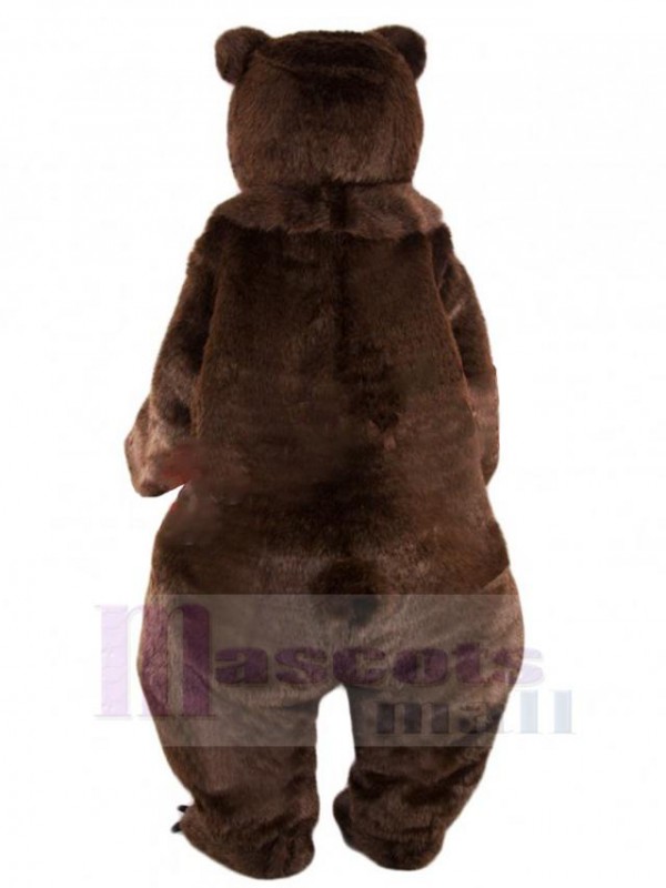 Ours costume de mascotte