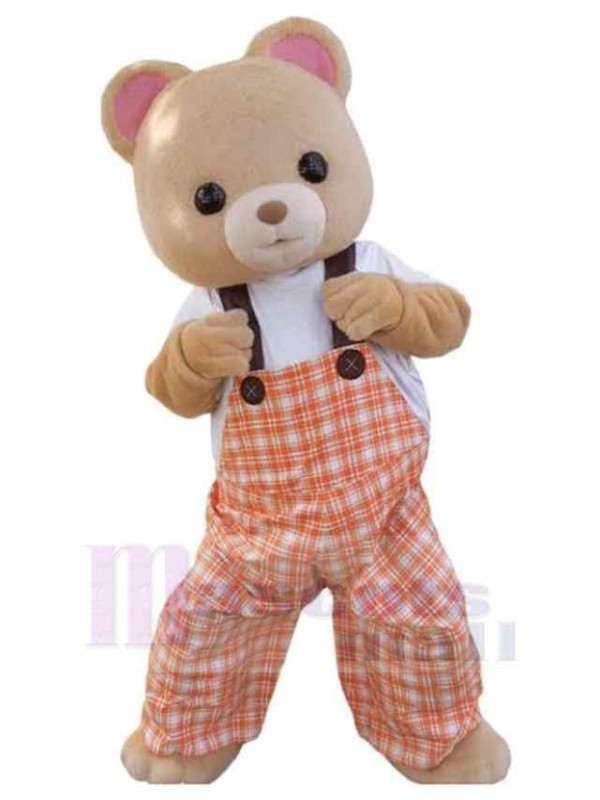 Ours costume de mascotte