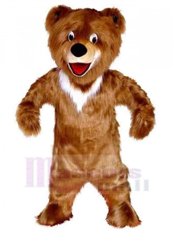 Ours costume de mascotte