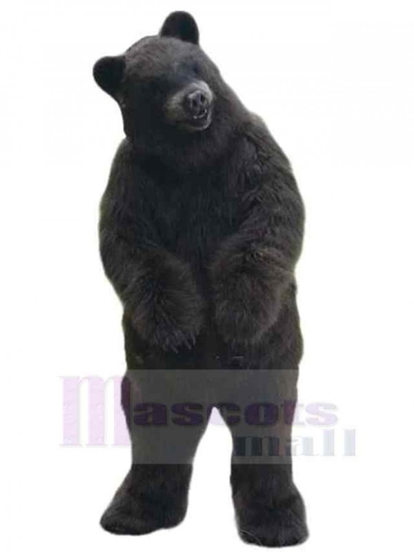 Ours costume de mascotte