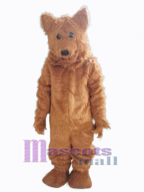 Ours costume de mascotte
