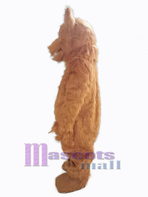 Ours costume de mascotte