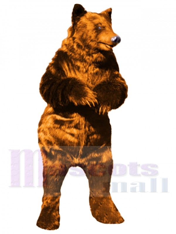 Ours costume de mascotte