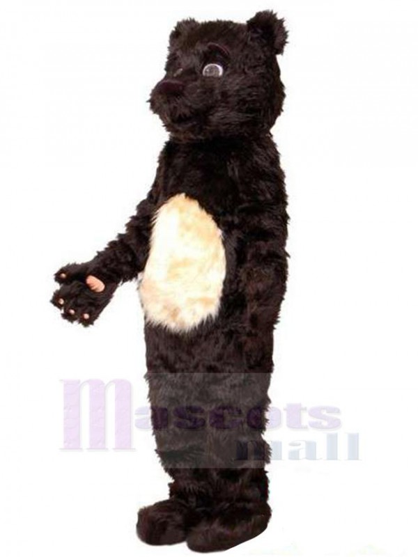 Ours costume de mascotte