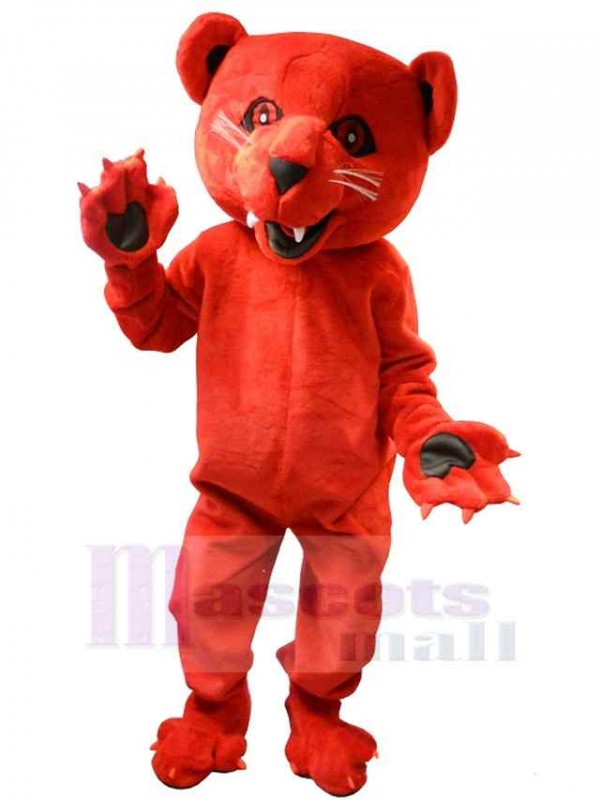 Ours costume de mascotte