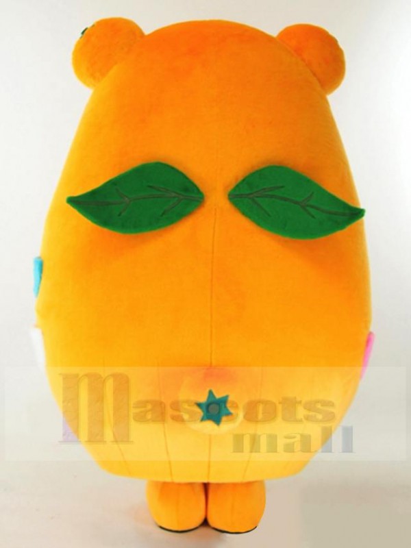 Ours costume de mascotte