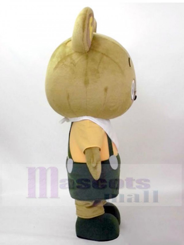 Ours costume de mascotte