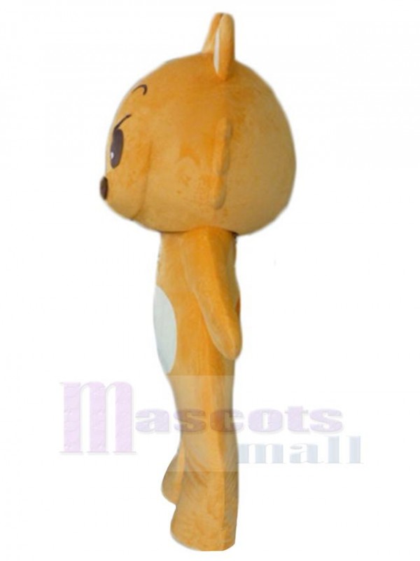 Ours costume de mascotte