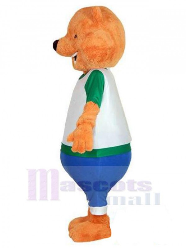 Ours costume de mascotte
