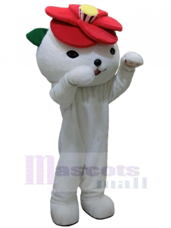 Ours costume de mascotte
