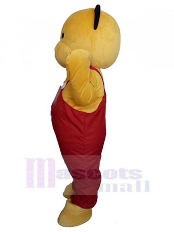 Ours costume de mascotte