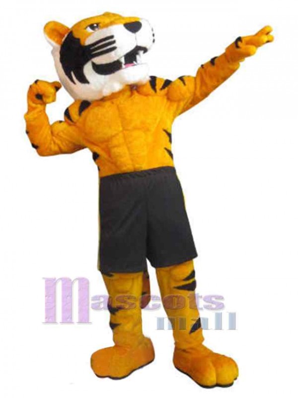 Tigre costume de mascotte