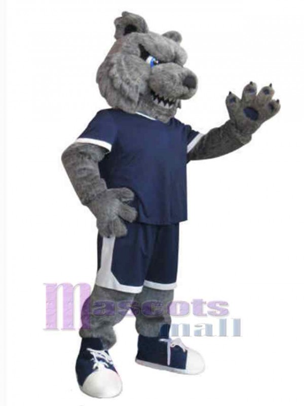 Ours costume de mascotte