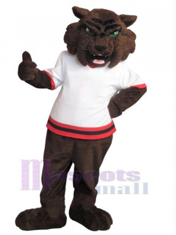 Chat d'ours costume de mascotte