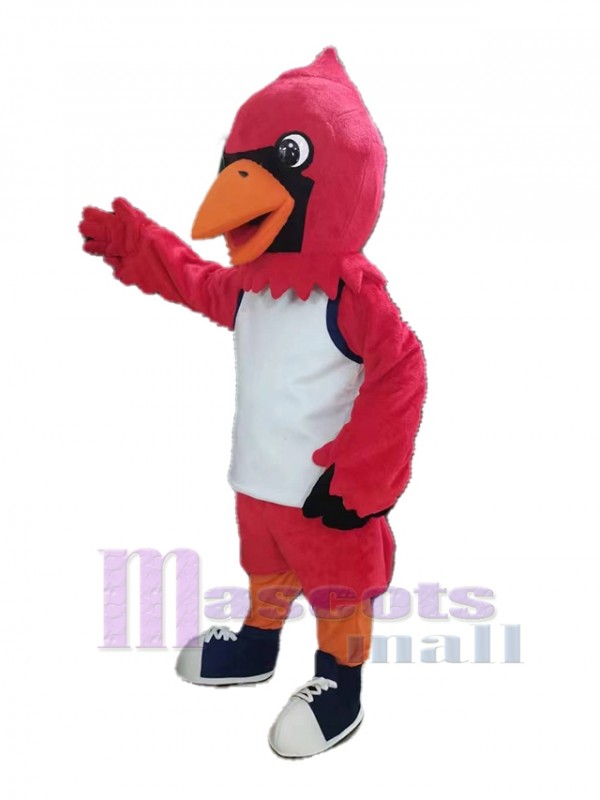 Cardinal Oiseau costume de mascotte