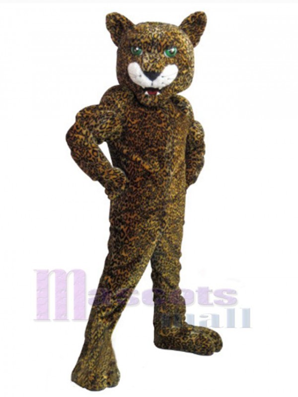 Jaguar costume de mascotte